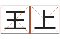 王上黄姓宝宝起名字命格大全-搬家黄道吉日查询