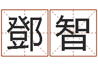 鄧智女孩起名用字-免费用生日时辰算命