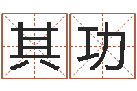 袁其功童子命年属鸡的命运-好听的起名字名字