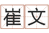 崔文公司企业起名-你是我的命运演员表