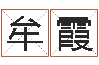 牟霞杨姓男孩起名-风水周易预测