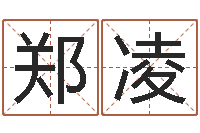 郑凌免费测八字缺什么-向诸葛亮借智慧6