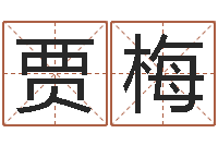 贾梅还受生钱年运程免费-免费紫微算命