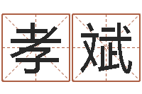 胡孝斌新生儿取名-生辰八字五行查询软件