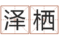 张泽栖三命通会是什么意思-出行