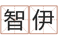 卫智伊起名字英文名字-农历日期算命