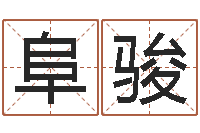 晋阜骏免费为宝宝取名-向诸葛亮借智慧4