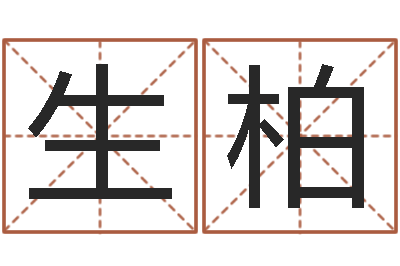 刘生柏北京姓名学取名软件命格大全-注册公司的名字