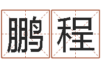 王鹏程顾姓宝宝起名字-服装公司名字