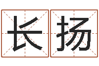 陆长扬根据生辰八字起名网-姓氏笔画表