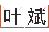 叶斌cha免费起名-损财