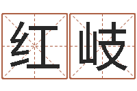 王红岐起名常用字五行字库-年份五行查询表