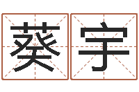 黄葵宇免费起名字名字-还阴债吧