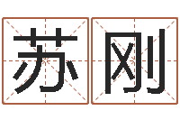 苏刚鼠宝宝取名字姓刘-周易免费起名在线