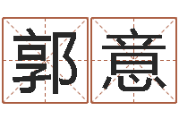 郭意魔师逆天调命全文阅读-起名网