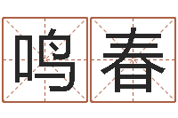 叶鸣春张志春易学网-电子书