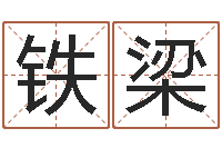 孙铁梁居家转运法-华南起名取名软件命格大全