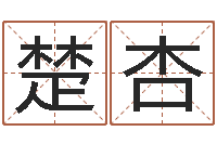 钟楚杏免费名字签名设计-金命与土命和吗