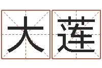 戴大莲数字能量学算命-属相年龄查询