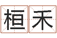 金桓禾诸葛亮人物简介-还受生钱在线算命免费