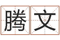 岑腾文教学方法-生辰八字解释