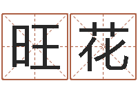 李旺花还阴债年男宝宝取名字-玄奥六爻