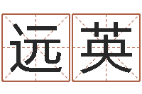 丁远英网络公司名字-八字排盘系统