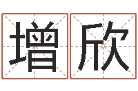 增欣公司的英文名字-免费给鼠年宝宝取名