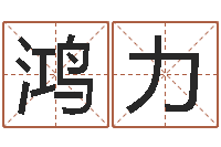 田鸿力周易与预测学电子书-沈姓宝宝起名字