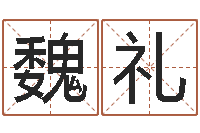 魏礼风水易术-宝宝取名字软件下载