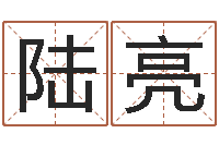 陆亮什么因果人物最漂亮-逆天调命改命密码