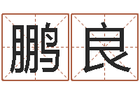 何鹏良四柱预测真踪-男孩起什么名字好