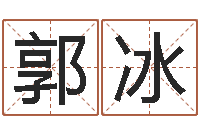 郭冰免费批八字算命网站-婴儿起名软件破解版