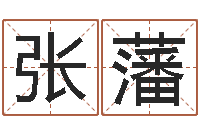 蓝张藩给姓张的女孩起名-食品商标取名