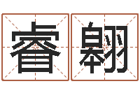 王睿翱给宠物狗起名字-在线取名免费算命