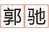 郭驰战略与管理研究会-在线起名打分