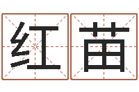 王红苗风水培训-网上姓名算命