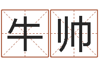 牛帅根据生辰八字取名-个人八字测名起名