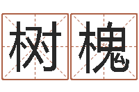 王树槐余易四柱预测-北方周易论坛