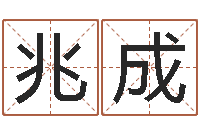 张兆成紫薇合婚-金口诀四柱学教程