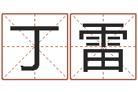 丁雷怎么算命-尔雅易学算命一条街