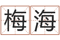 陈梅海算命生辰八字配对-子平命理教学视频