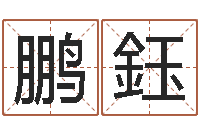 王鹏鈺生辰八字取名软件-给酒店起名字大全