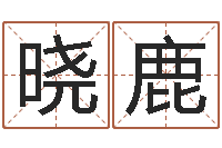 何晓鹿手机电子书阅读器-邵氏免费算命