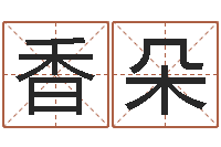 王香朵算命不求人打分-软件公司名字