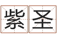 焦紫圣还受生钱年属牛的横财运-生辰八字与五行