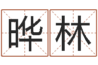 王晔林给婴儿取名字-装修公司取名