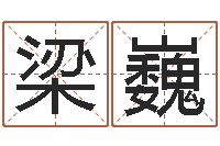 梁巍八卦掌视频-周易八卦称骨算命