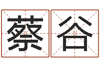 蔡谷命运之召唤师-八字预测学