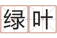 吴绿叶五行算命取名-姓名学专家